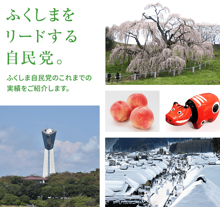 ふくしまをささえた、自民党。ふくしま自民党のこれまでの実績をご紹介します。