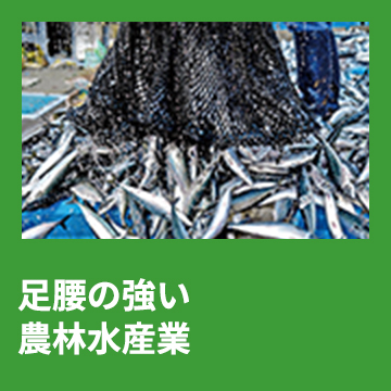6	足腰の強い農林水産業